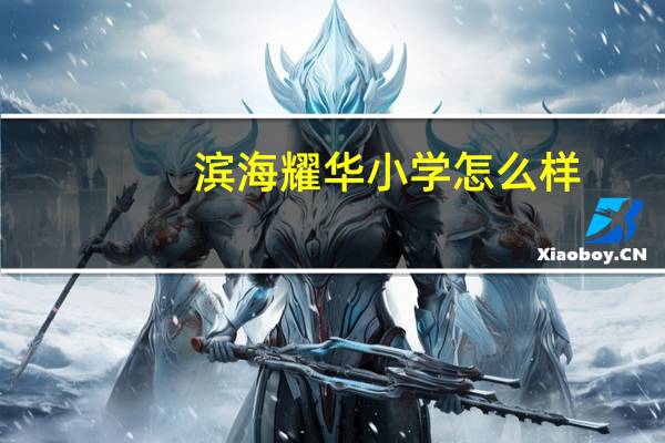 滨海耀华小学怎么样