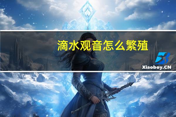 滴水观音怎么繁殖