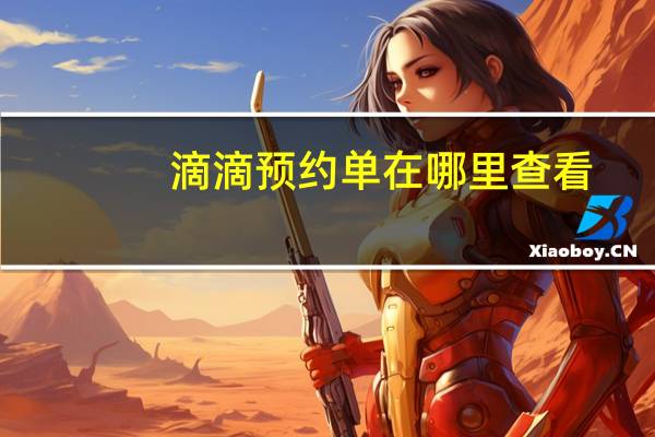 滴滴预约单在哪里查看