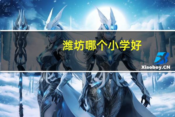 潍坊哪个小学好