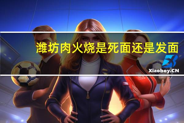潍坊肉火烧是死面还是发面
