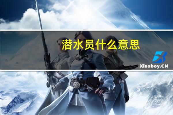 潜水员什么意思