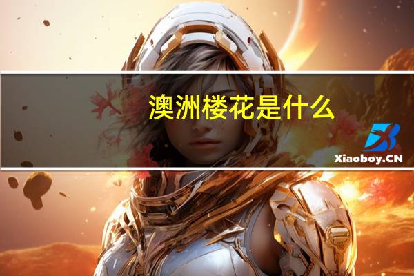 澳洲楼花是什么