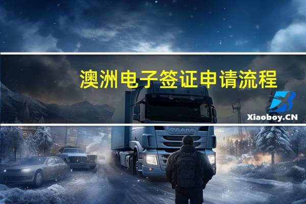 澳洲电子签证申请流程(澳洲留学签证电子签)