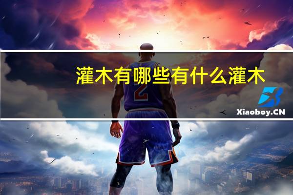 灌木有哪些 有什么灌木