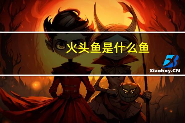 火头鱼是什么鱼