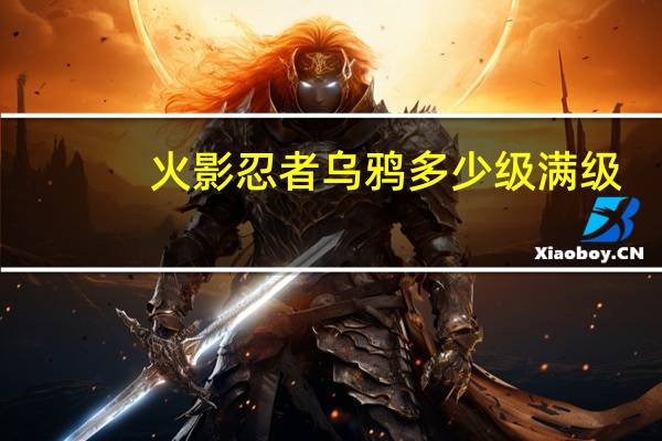 火影忍者乌鸦多少级满级