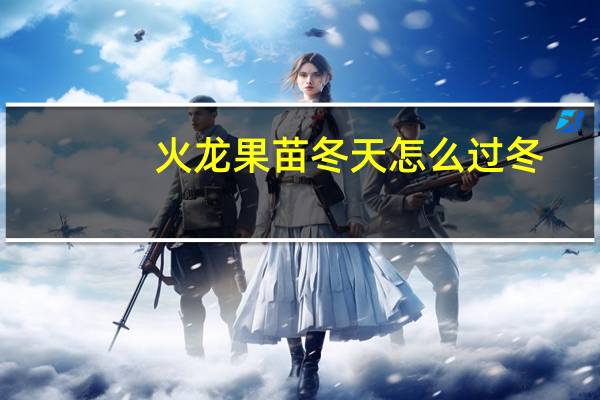 火龙果苗冬天怎么过冬