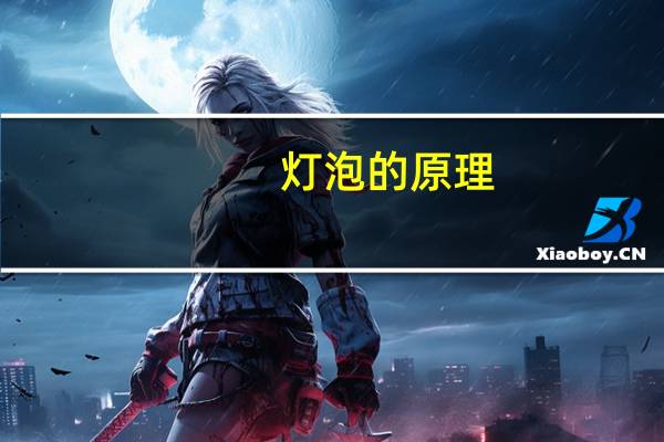 灯泡的原理