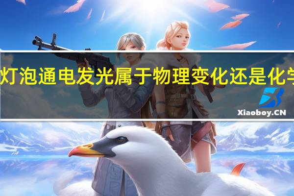 灯泡通电发光属于物理变化还是化学变化