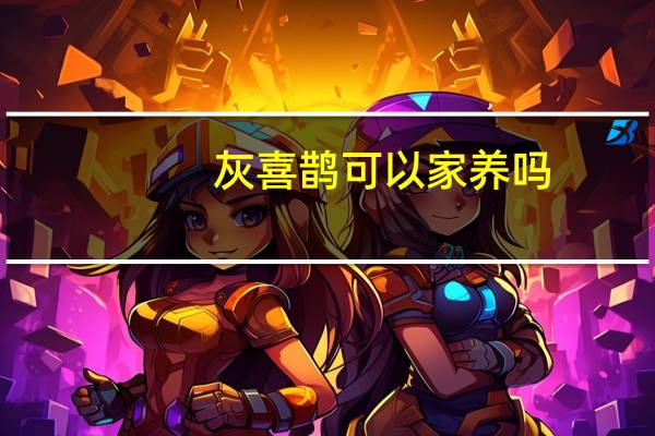 灰喜鹊可以家养吗