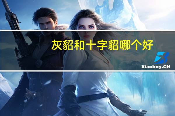 灰貂和十字貂哪个好