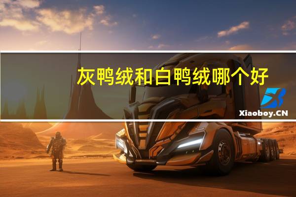 灰鸭绒和白鸭绒哪个好