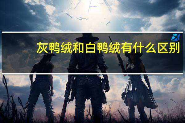 灰鸭绒和白鸭绒有什么区别