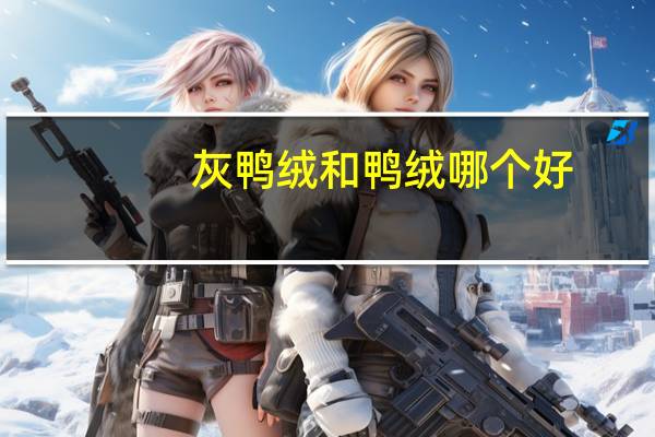 灰鸭绒和鸭绒哪个好