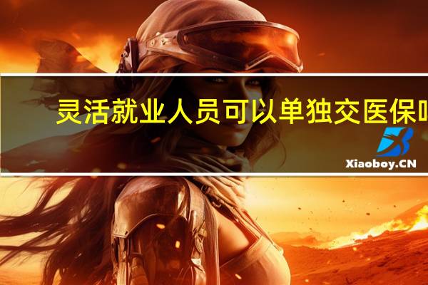灵活就业人员可以单独交医保吗