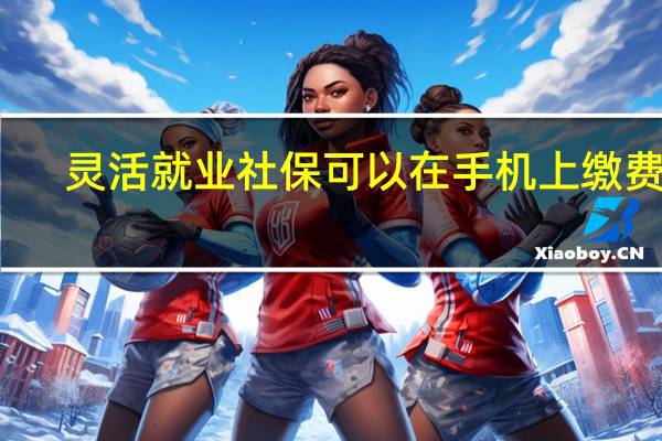 灵活就业社保可以在手机上缴费吗