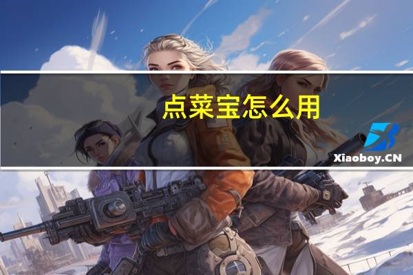点菜宝怎么用