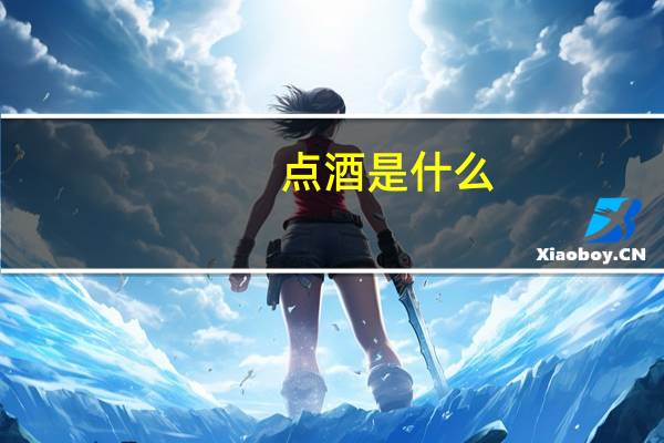 点酒是什么