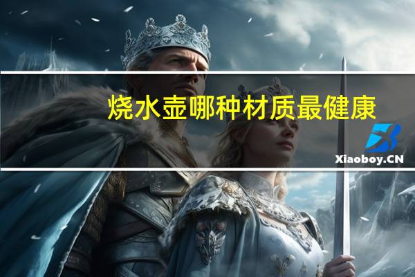 烧水壶哪种材质最健康