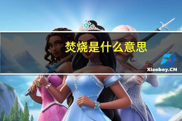 焚烧是什么意思