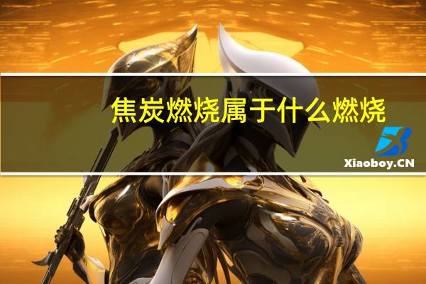 焦炭燃烧属于什么燃烧