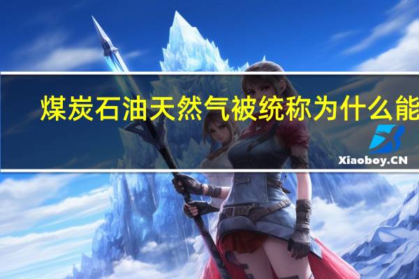 煤炭石油天然气被统称为什么能源