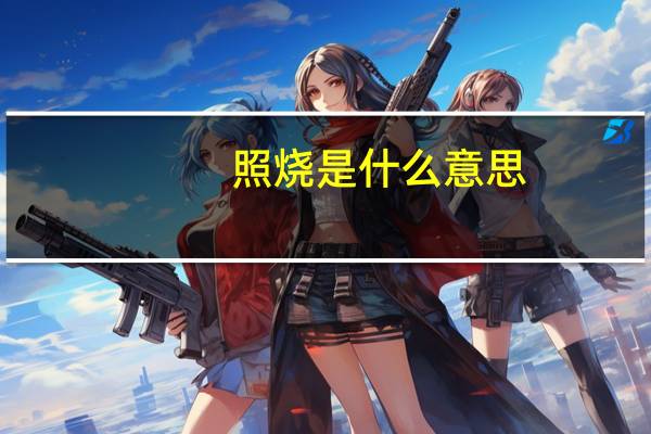 照烧是什么意思