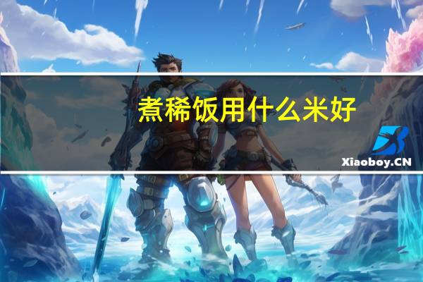 煮稀饭用什么米好