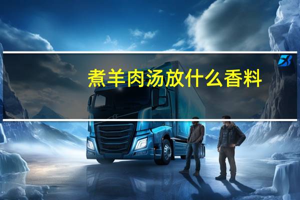 煮羊肉汤放什么香料