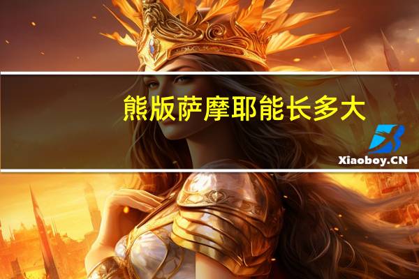 熊版萨摩耶能长多大