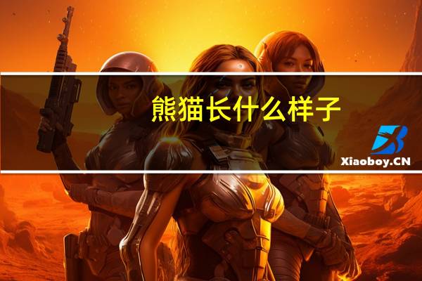 熊猫长什么样子