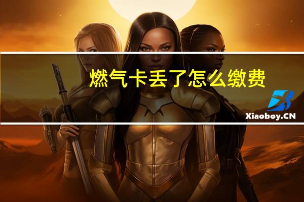 燃气卡丢了怎么缴费