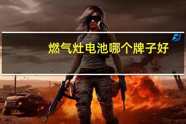 燃气灶电池哪个牌子好