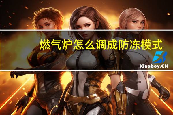 燃气炉怎么调成防冻模式