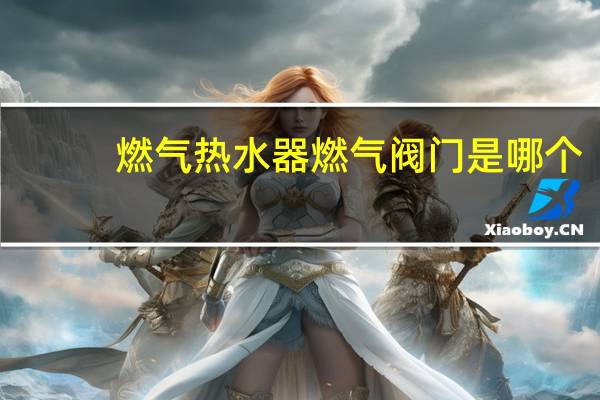 燃气热水器燃气阀门是哪个
