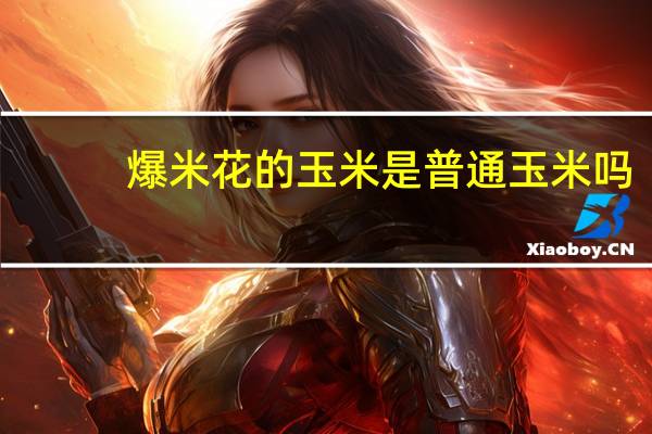 爆米花的玉米是普通玉米吗