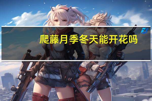 爬藤月季冬天能开花吗