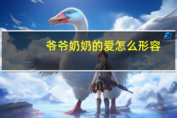 爷爷奶奶的爱怎么形容