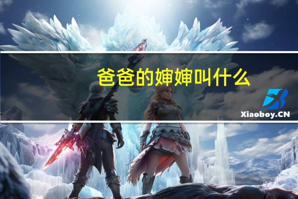 爸爸的婶婶叫什么