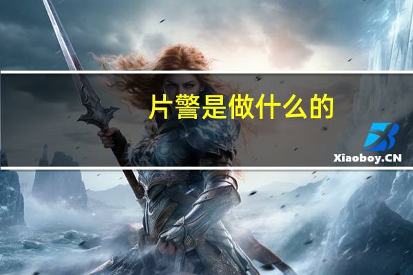 片警是做什么的
