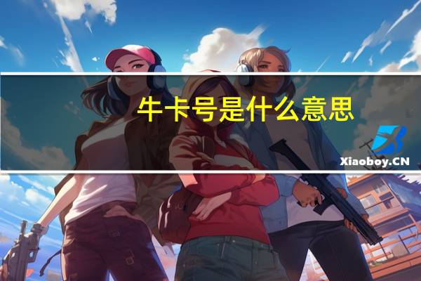 牛卡号是什么意思