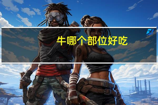牛哪个部位好吃