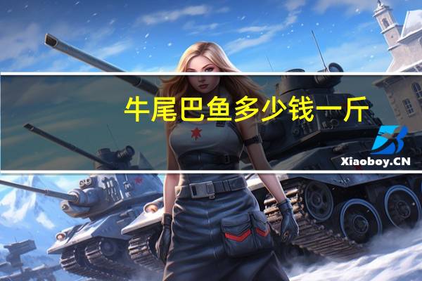 牛尾巴鱼多少钱一斤