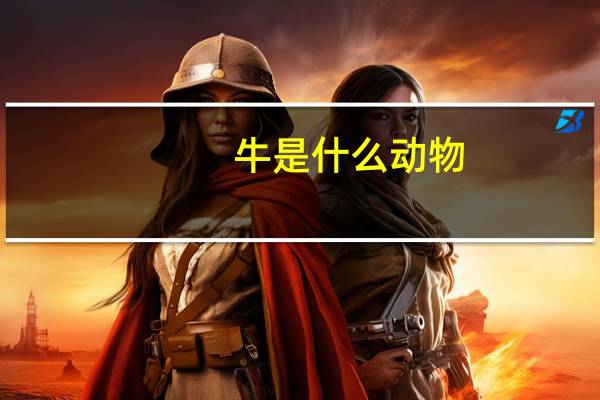 牛是什么动物