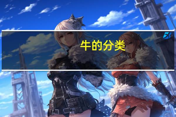 牛的分类