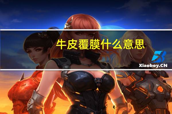 牛皮覆膜什么意思