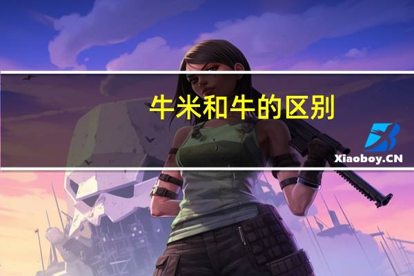 牛米和牛的区别