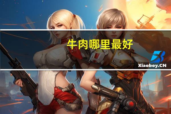 牛肉哪里最好