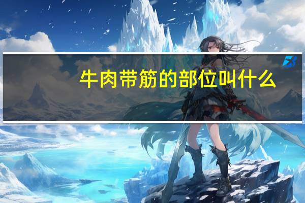 牛肉带筋的部位叫什么